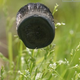 Image for article titled Graphene Sponges: The New Lightest Material on the Planet